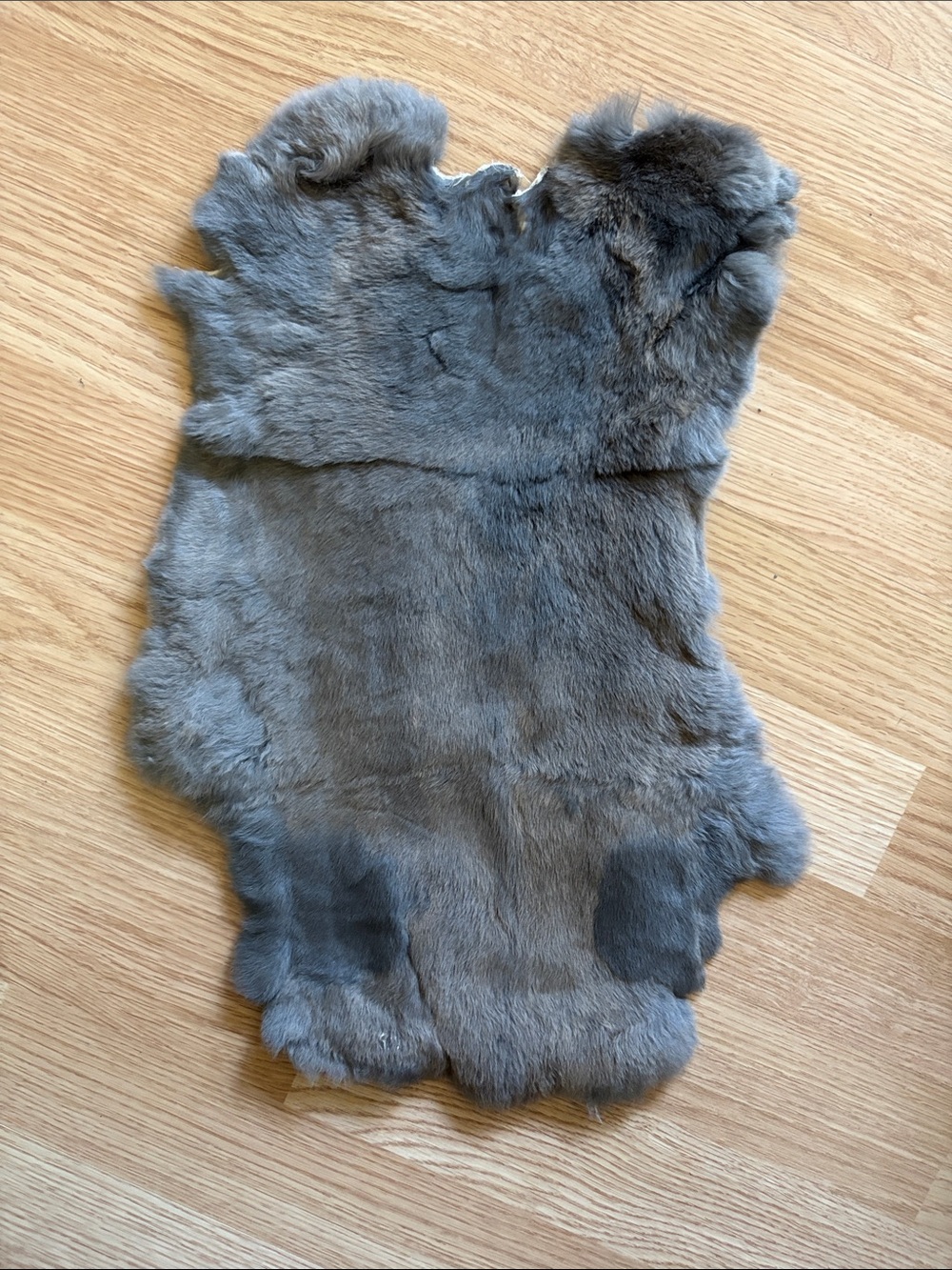 B0080 Rex rabbit hide